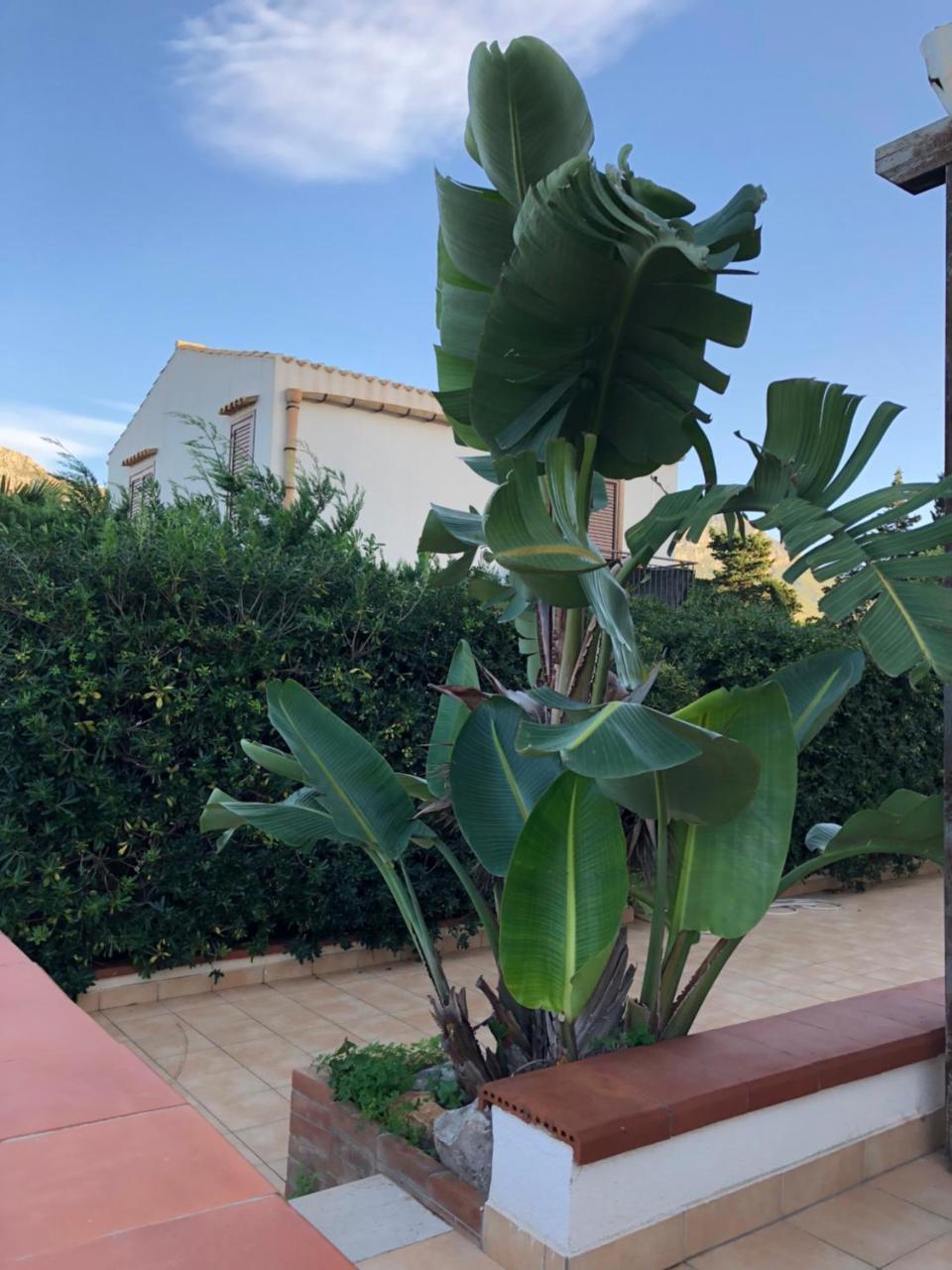 Villa A San Vito Lo Capo Minaudo Luaran gambar